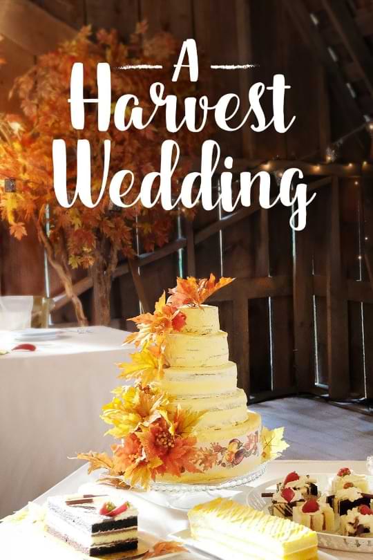 Basset-Hound-Distribution-movie-a-harvest-wedding-poster